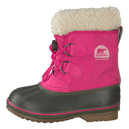 Yoot Pac Nylon 693, Ultra Pink, Alpine Tundra