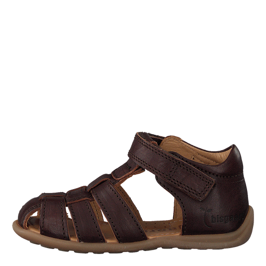 71206.119.305 Brown