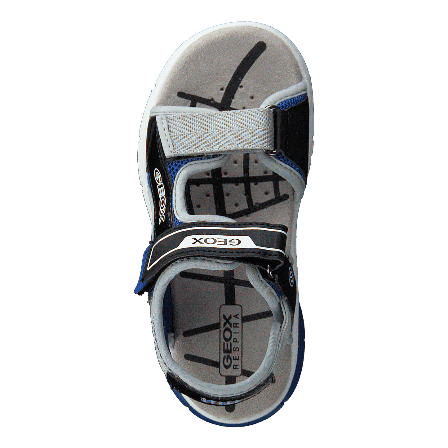 J Sandal Flexyper Bo Black/royal