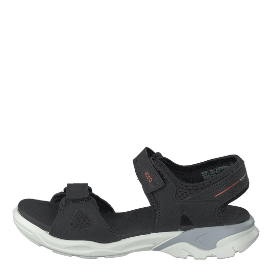 Biom Raft Black