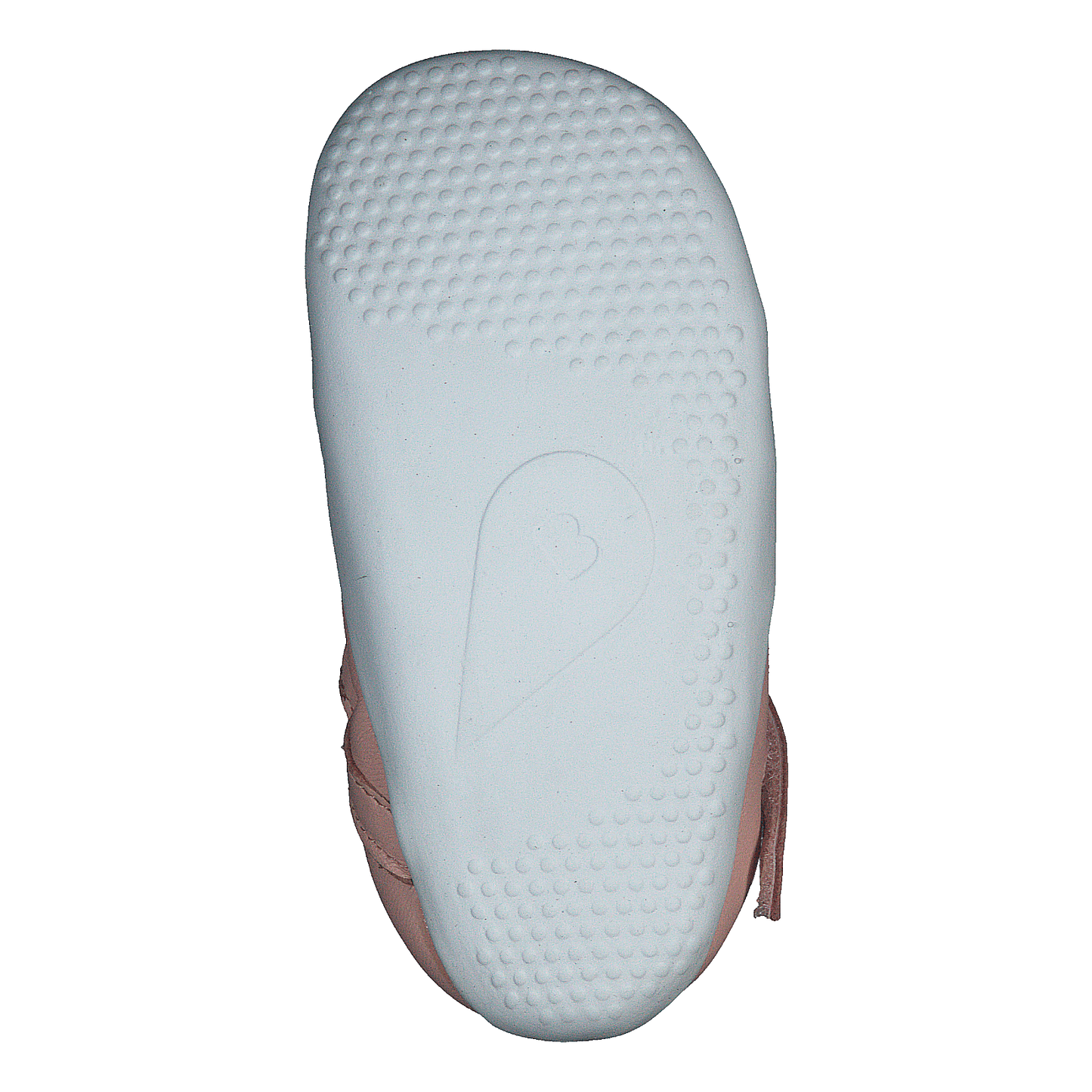 Xplorer Origin Arctic Seashell Pink