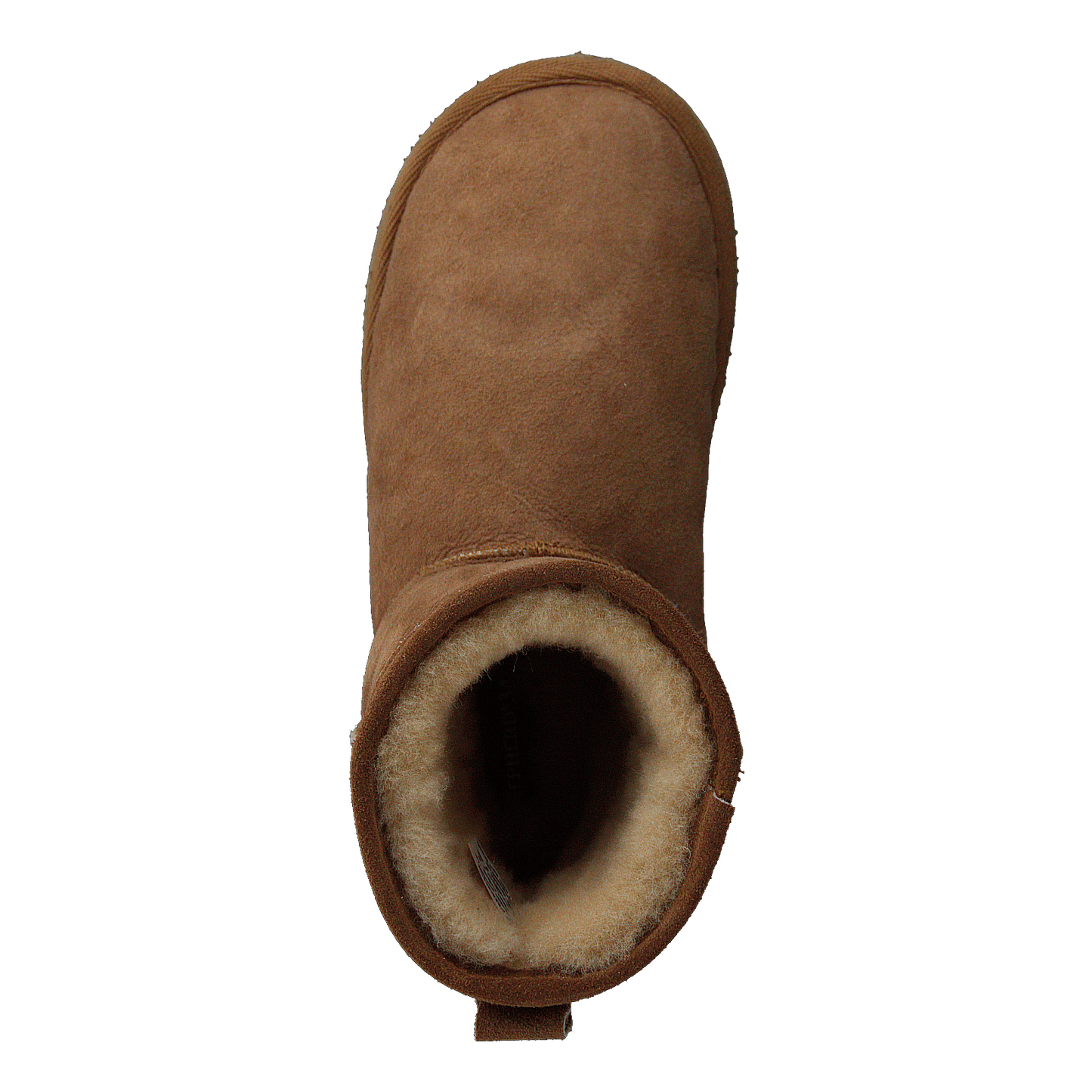 Mora Chestnut