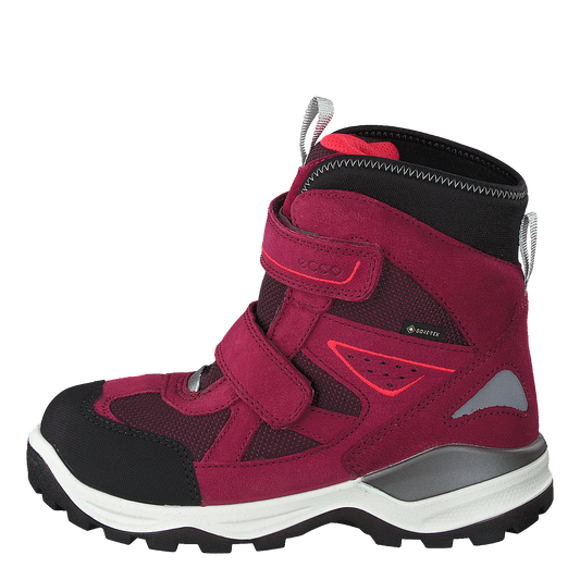 Snow Mountain Black/red Plum