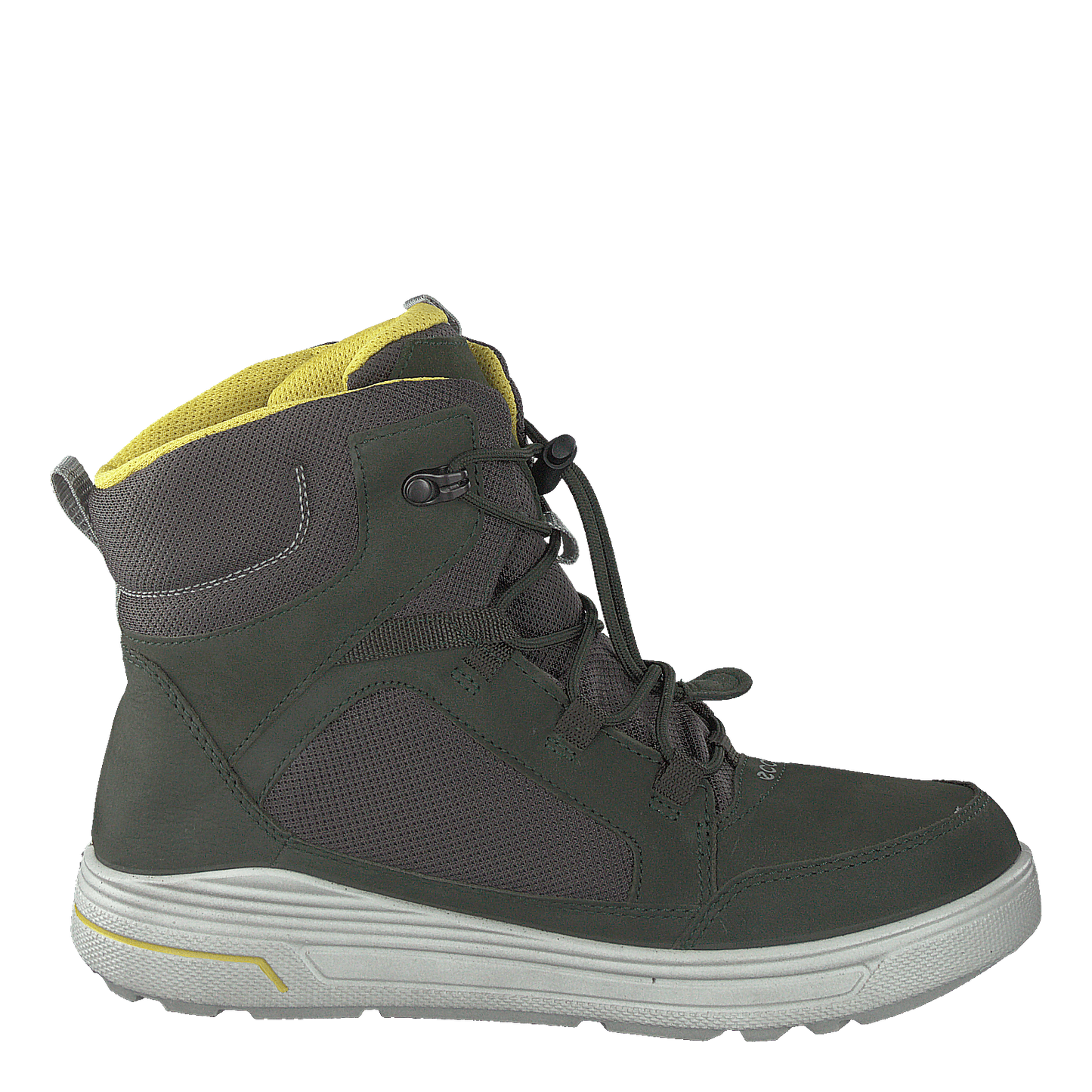 Urban Snowboarder Deep Forest/canary