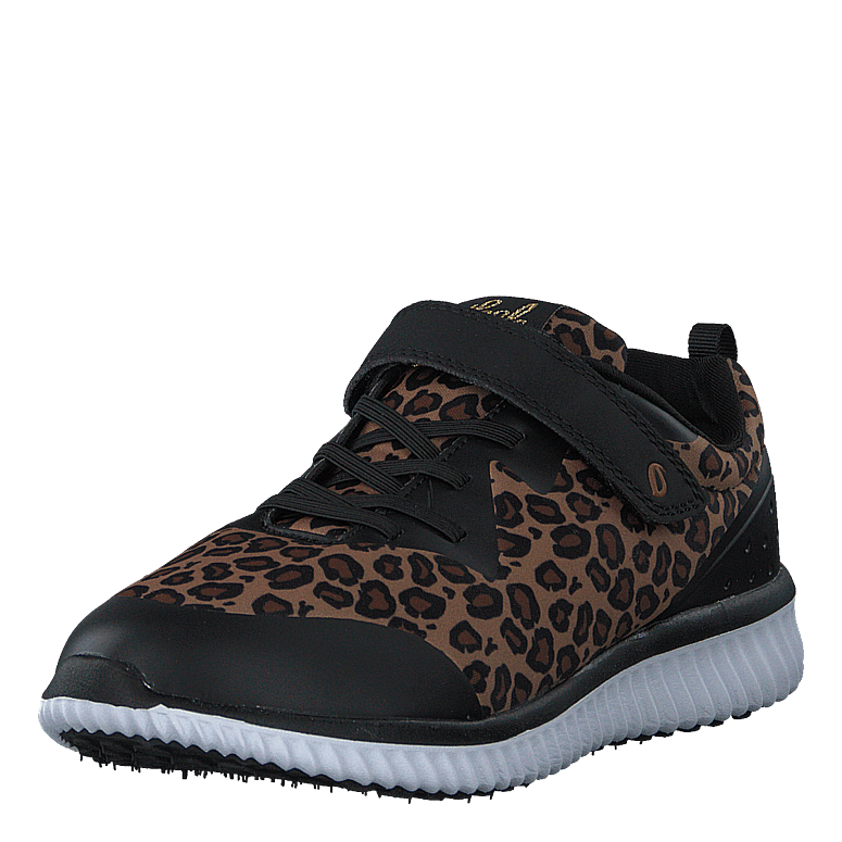 Glomma Leopard