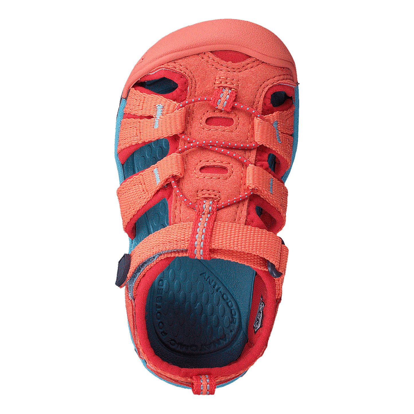 Seacamp Ii Cnx Tots Coral/poppy Red