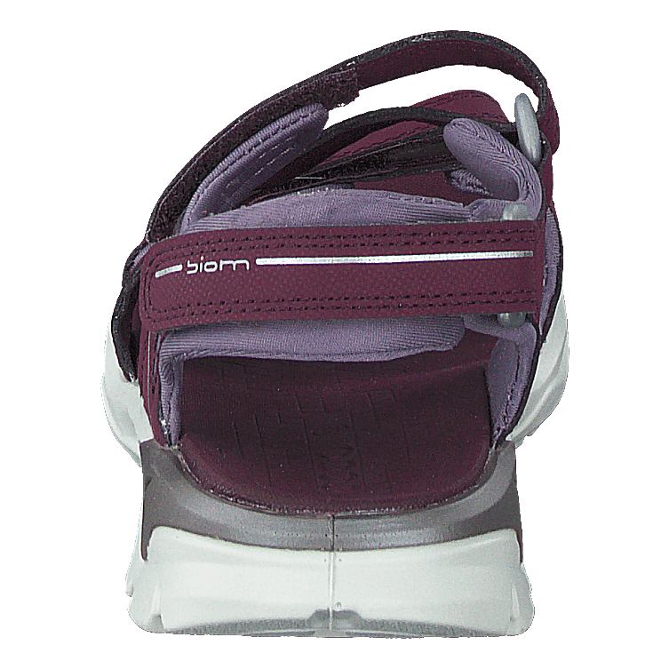 Biom Raft Aubergine