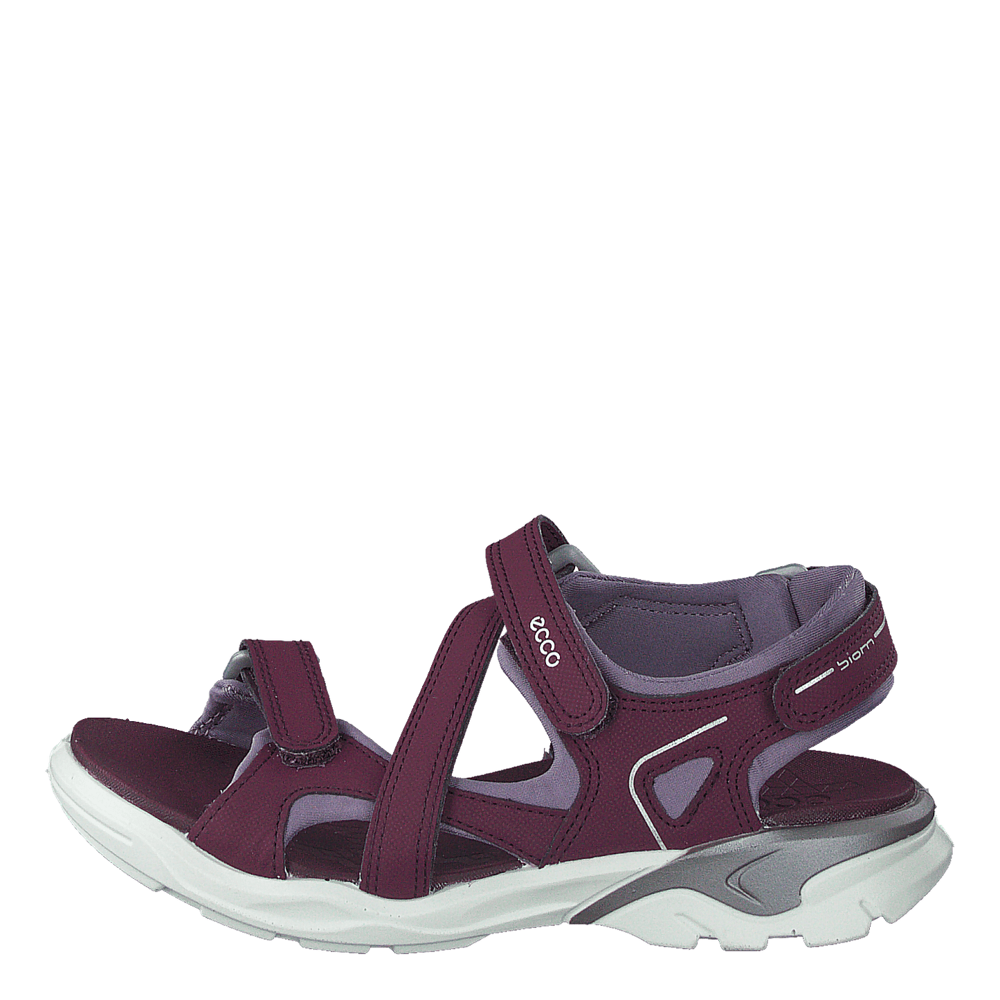 Biom Raft Aubergine