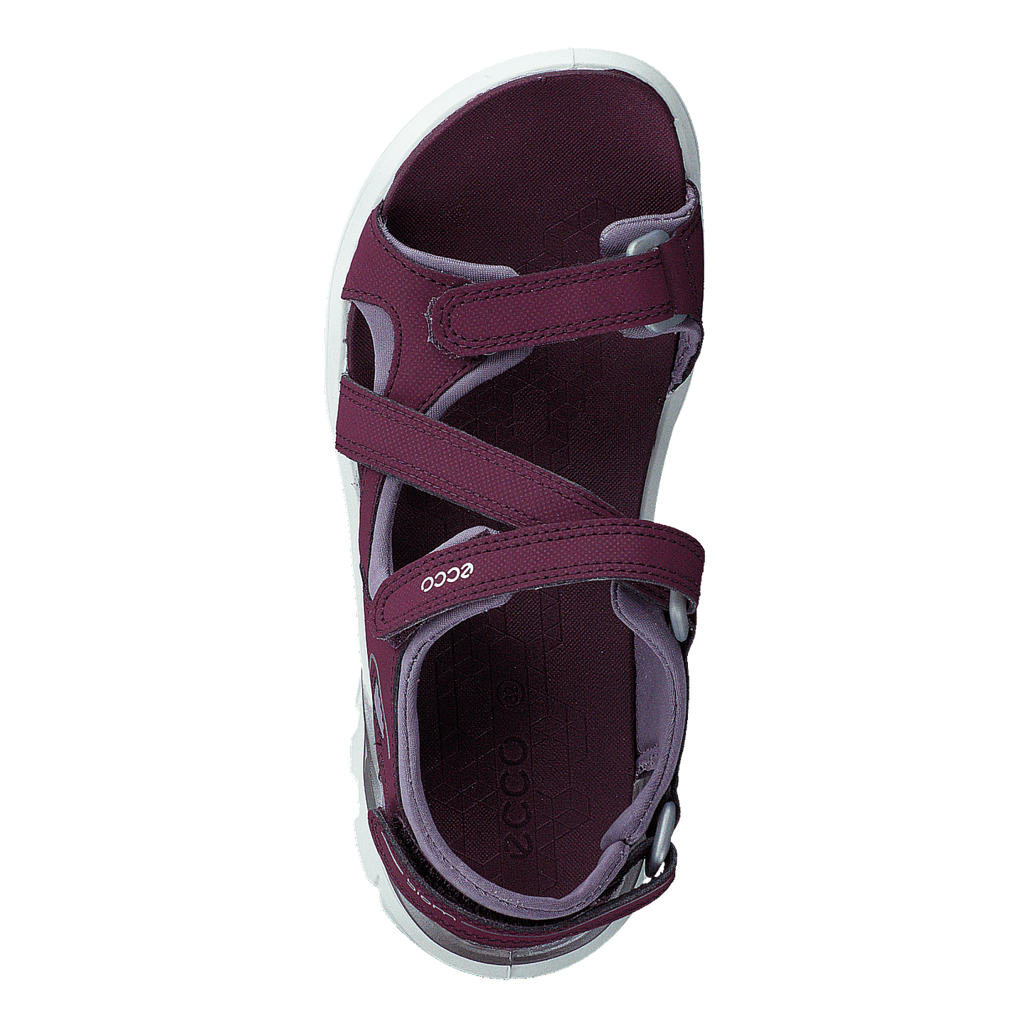 Biom Raft Aubergine