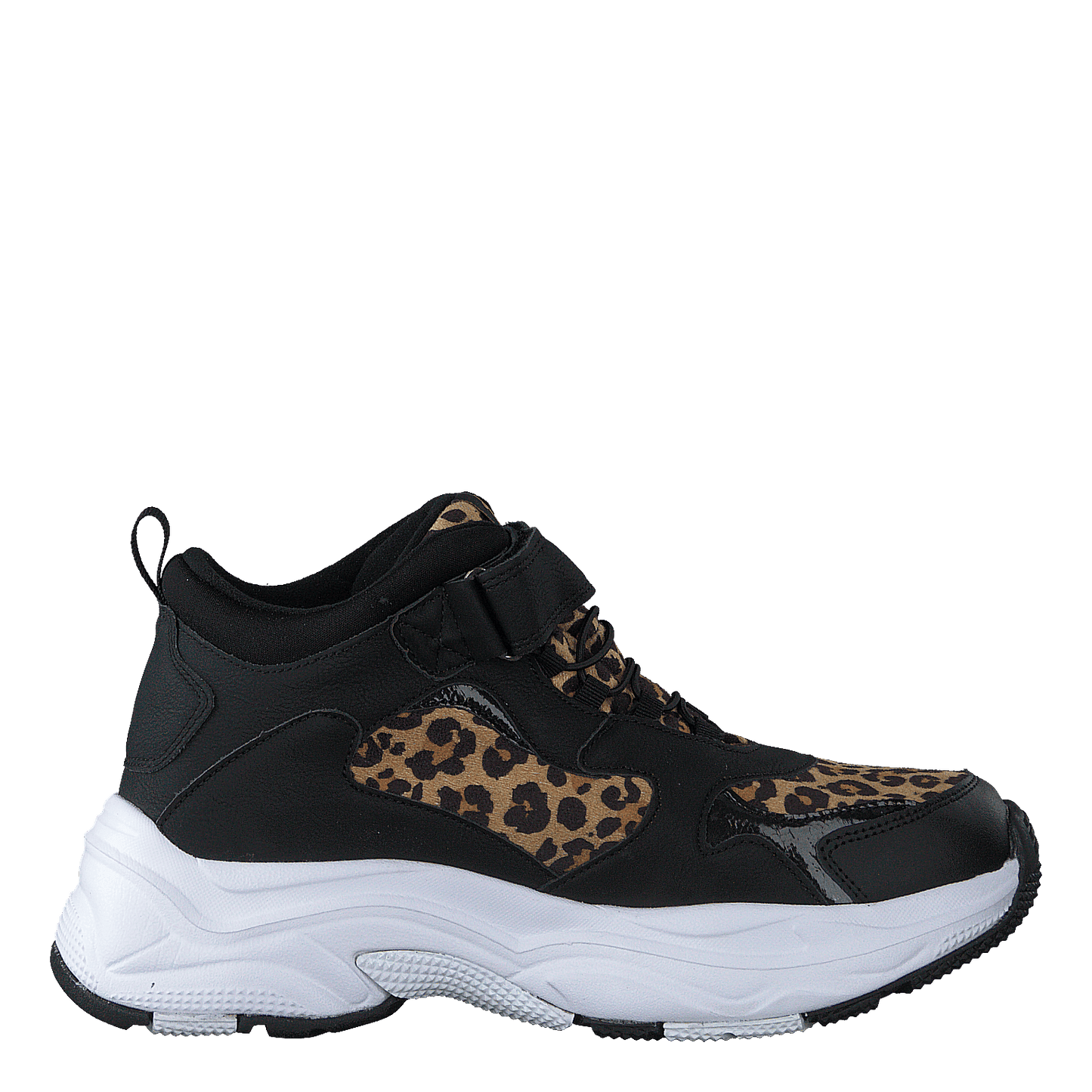 Narken Leopard