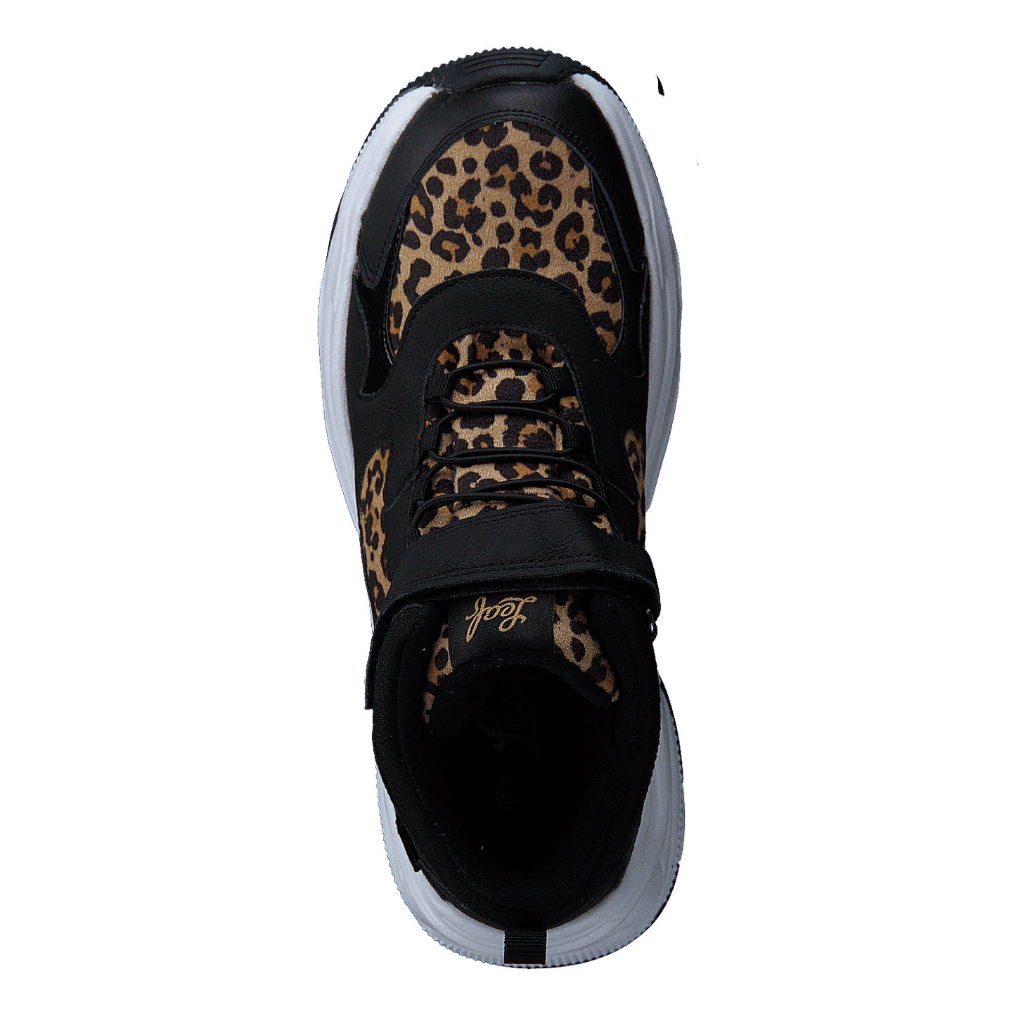 Narken Leopard