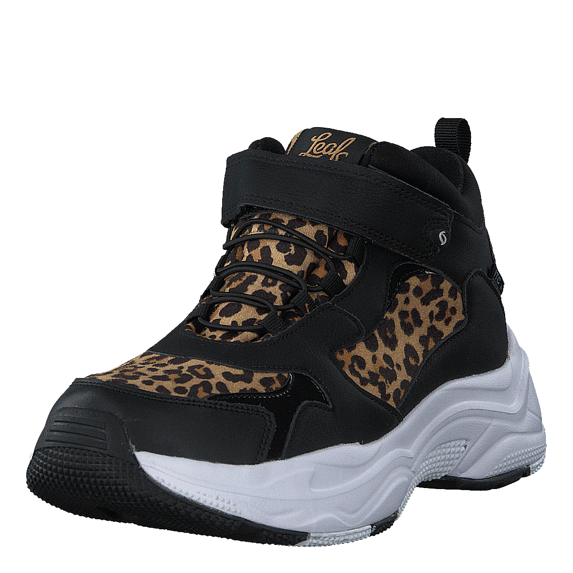 Narken Leopard