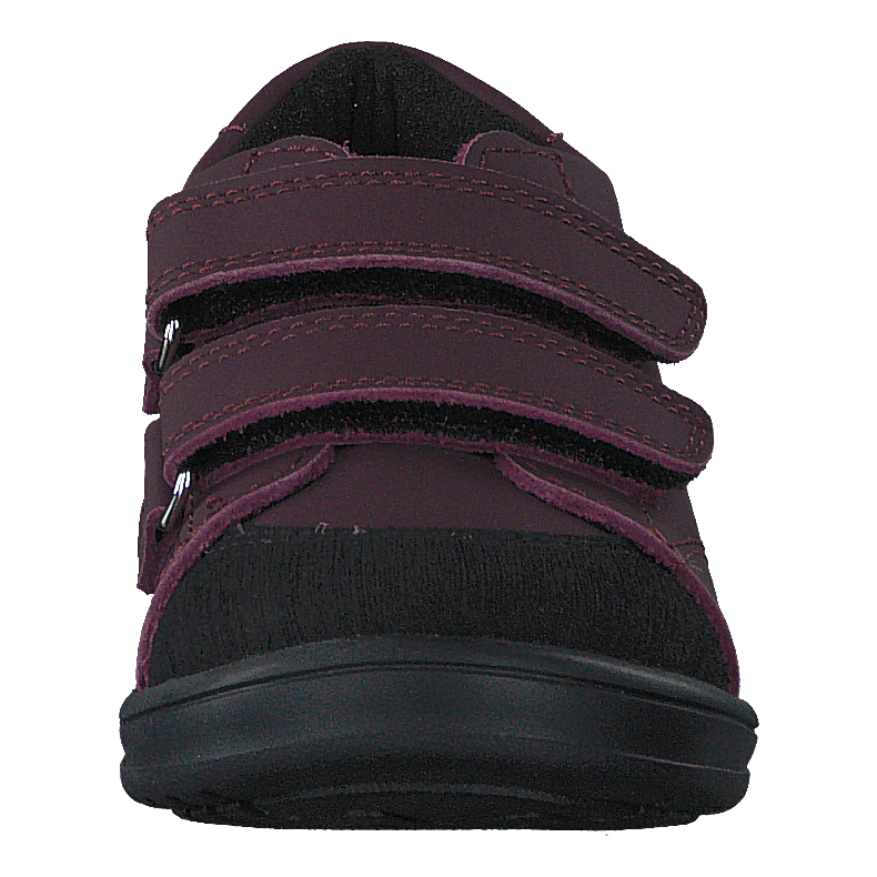 Stocksbo Xc Damson Plum