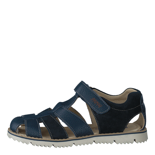 Pfp 74355 Blu/navy