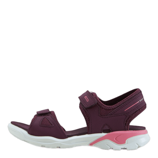 Ecco Biom Raft Aubergine