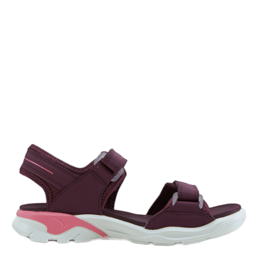 Ecco Biom Raft Aubergine