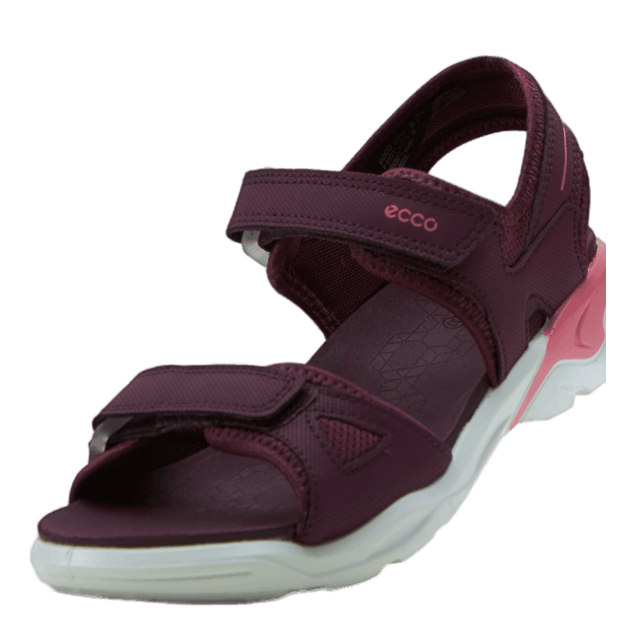 Ecco Biom Raft Aubergine