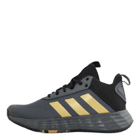 Ownthegame 2.0 Shoes Grey Five / Matte Gold / Core Black