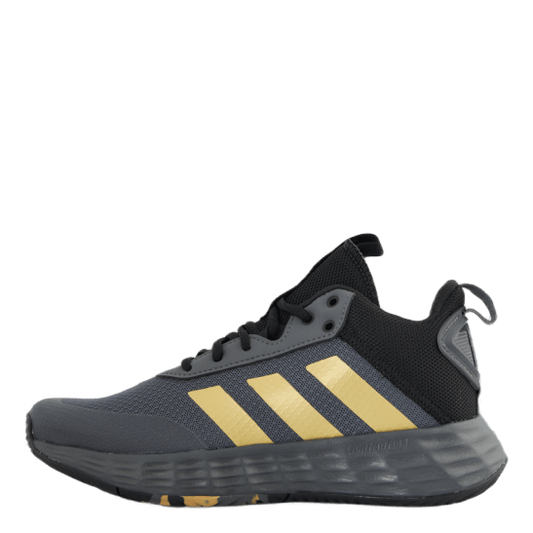 Ownthegame 2.0 Shoes Grey Five / Matte Gold / Core Black