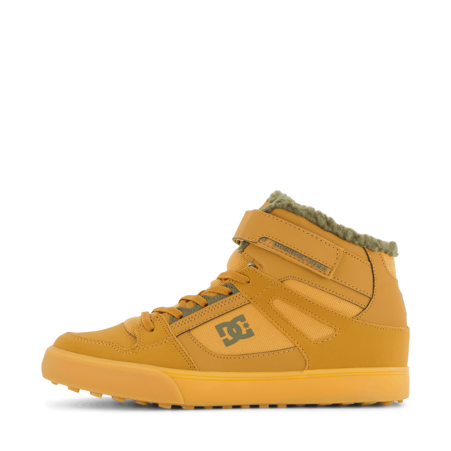 Pure High-top Wnt Ev Wheat