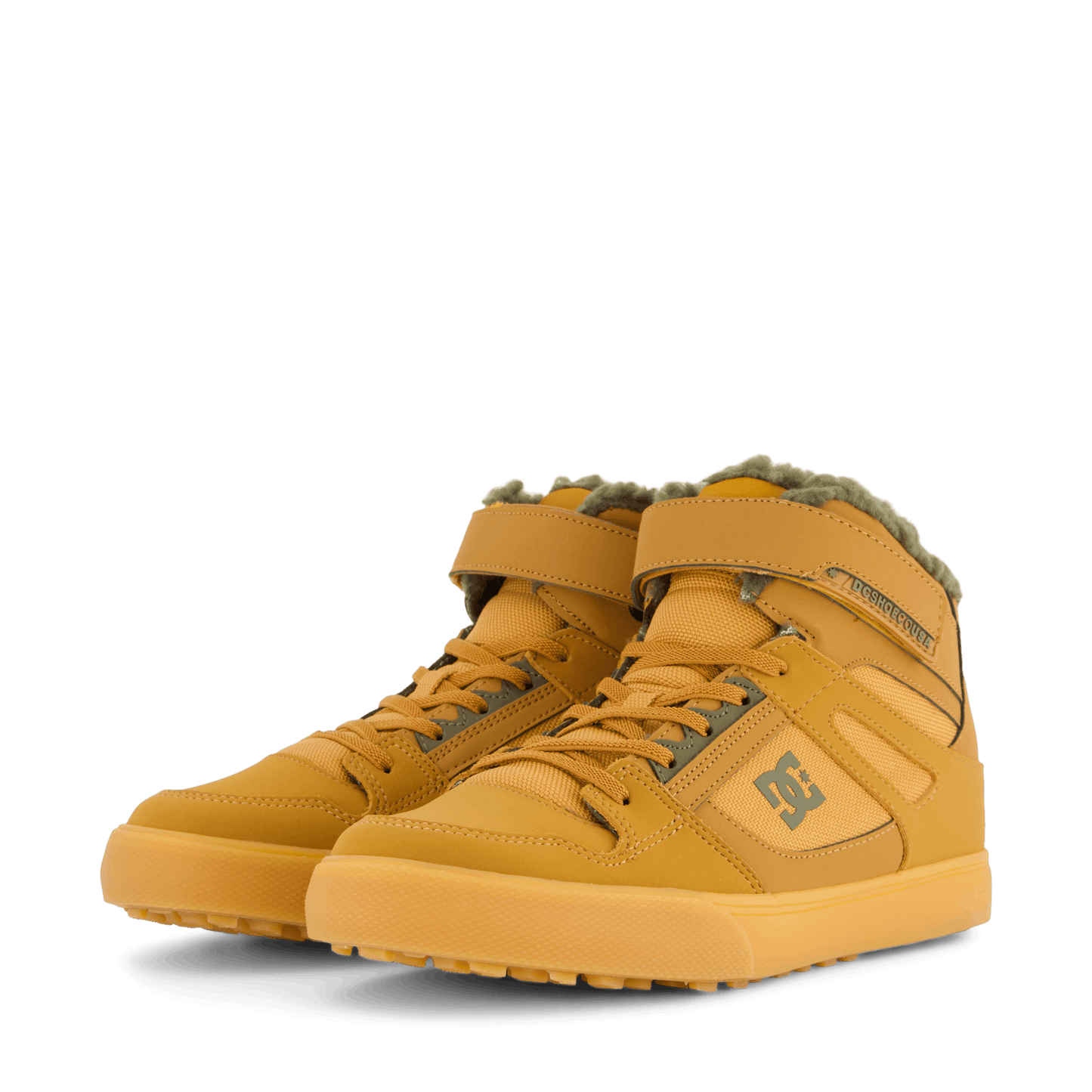 Pure High-top Wnt Ev Wheat